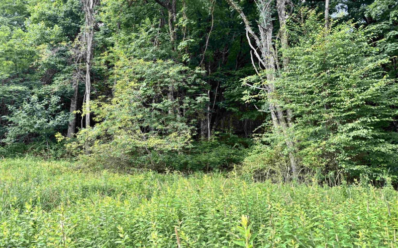 469 Karlan Road, Pickens, West Virginia 26230, 0 , 0 ,0,Lots/land,For Sale,Karlan,0,10166097