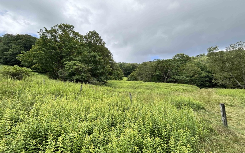 469 Karlan Road, Pickens, West Virginia 26230, 0 , 0 ,0,Lots/land,For Sale,Karlan,0,10166097