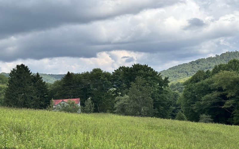 469 Karlan Road, Pickens, West Virginia 26230, 0 , 0 ,0,Lots/land,For Sale,Karlan,0,10166097