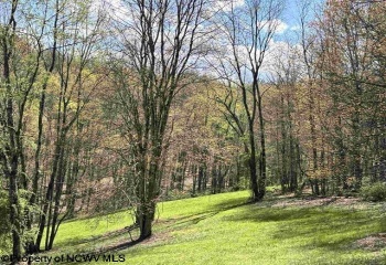 TBD Porterfield Road, Philippi, West Virginia 26416, 0 , 0 ,0,Lots/land,For Sale,Porterfield,0,10166085