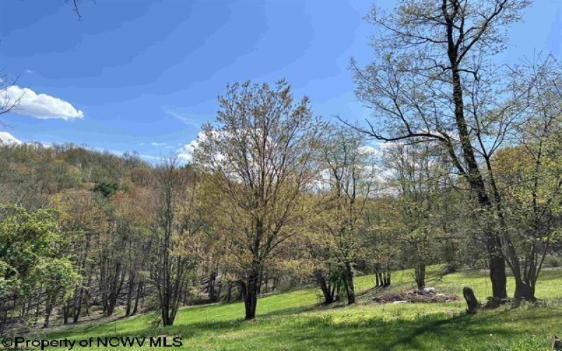 TBD Porterfield Road, Philippi, West Virginia 26416, 0 , 0 ,0,Lots/land,For Sale,Porterfield,0,10166085 TBD Porterfield Road, Philippi, West Virginia 26416, 0 , 0 ,0,Lots/land,For Sale,Porterfield,0,10166085