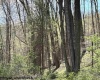TBD Porterfield Road, Philippi, West Virginia 26416, 0 , 0 ,0,Lots/land,For Sale,Porterfield,0,10166085 TBD Porterfield Road, Philippi, West Virginia 26416, 0 , 0 ,0,Lots/land,For Sale,Porterfield,0,10166085