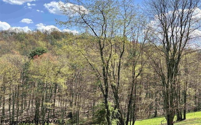 TBD Porterfield Road, Philippi, West Virginia 26416, 0 , 0 ,0,Lots/land,For Sale,Porterfield,0,10166085 TBD Porterfield Road, Philippi, West Virginia 26416, 0 , 0 ,0,Lots/land,For Sale,Porterfield,0,10166085