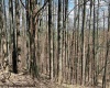 TBD Porterfield Road, Philippi, West Virginia 26416, 0 , 0 ,0,Lots/land,For Sale,Porterfield,0,10166085 TBD Porterfield Road, Philippi, West Virginia 26416, 0 , 0 ,0,Lots/land,For Sale,Porterfield,0,10166085