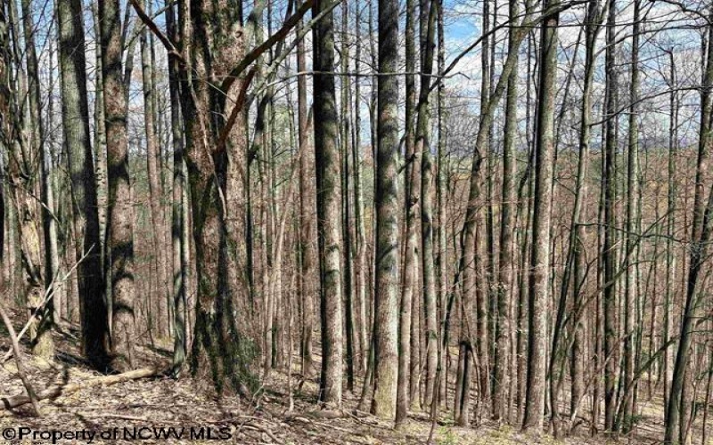 TBD Porterfield Road, Philippi, West Virginia 26416, 0 , 0 ,0,Lots/land,For Sale,Porterfield,0,10166085 TBD Porterfield Road, Philippi, West Virginia 26416, 0 , 0 ,0,Lots/land,For Sale,Porterfield,0,10166085