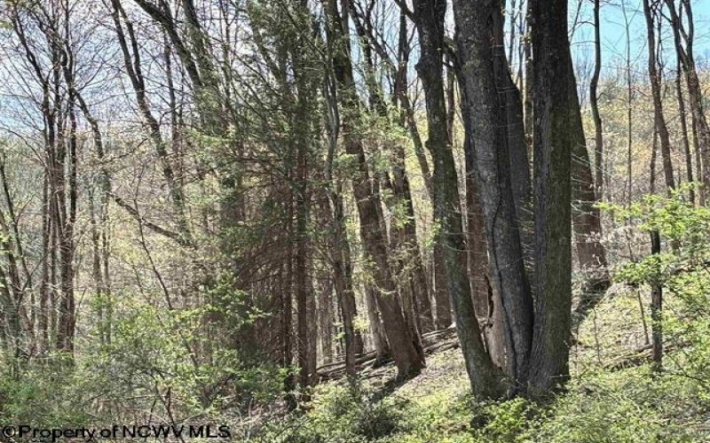 TBD Porterfield Road, Philippi, West Virginia 26416, 0 , 0 ,0,Lots/land,For Sale,Porterfield,0,10166085 TBD Porterfield Road, Philippi, West Virginia 26416, 0 , 0 ,0,Lots/land,For Sale,Porterfield,0,10166085
