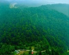 000 Bices Run Road, Enterprise, West Virginia 26568, 0 , 0 ,0,Lots/land,For Sale,Bices Run,0,10166081 000 Bices Run Road, Enterprise, West Virginia 26568, 0 , 0 ,0,Lots/land,For Sale,Bices Run,0,10166081