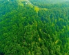 000 Bices Run Road, Enterprise, West Virginia 26568, 0 , 0 ,0,Lots/land,For Sale,Bices Run,0,10166081 000 Bices Run Road, Enterprise, West Virginia 26568, 0 , 0 ,0,Lots/land,For Sale,Bices Run,0,10166081
