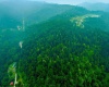 000 Bices Run Road, Enterprise, West Virginia 26568, 0 , 0 ,0,Lots/land,For Sale,Bices Run,0,10166081 000 Bices Run Road, Enterprise, West Virginia 26568, 0 , 0 ,0,Lots/land,For Sale,Bices Run,0,10166081