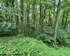 1099 Five Fork Hill Road, Newburg, West Virginia 26410-9713, 0 , 0 ,0,Lots/land,For Sale,Five Fork Hill,0,10166084 1099 Five Fork Hill Road, Newburg, West Virginia 26410-9713, 0 , 0 ,0,Lots/land,For Sale,Five Fork Hill,0,10166084