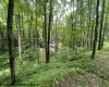 1099 Five Fork Hill Road, Newburg, West Virginia 26410-9713, 0 , 0 ,0,Lots/land,For Sale,Five Fork Hill,0,10166084 1099 Five Fork Hill Road, Newburg, West Virginia 26410-9713, 0 , 0 ,0,Lots/land,For Sale,Five Fork Hill,0,10166084