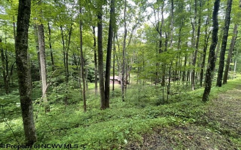 1099 Five Fork Hill Road, Newburg, West Virginia 26410-9713, 0 , 0 ,0,Lots/land,For Sale,Five Fork Hill,0,10166084 1099 Five Fork Hill Road, Newburg, West Virginia 26410-9713, 0 , 0 ,0,Lots/land,For Sale,Five Fork Hill,0,10166084