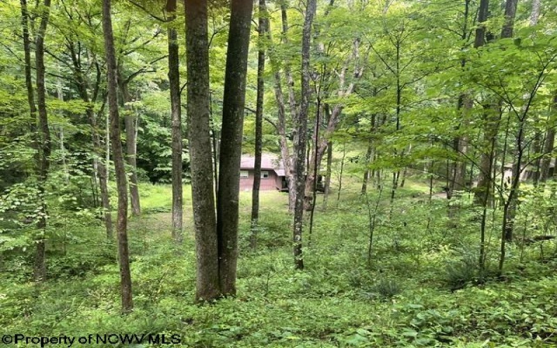 1099 Five Fork Hill Road, Newburg, West Virginia 26410-9713, 0 , 0 ,0,Lots/land,For Sale,Five Fork Hill,0,10166084 1099 Five Fork Hill Road, Newburg, West Virginia 26410-9713, 0 , 0 ,0,Lots/land,For Sale,Five Fork Hill,0,10166084