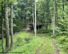 1099 Five Fork Hill Road, Newburg, West Virginia 26410-9713, 0 , 0 ,0,Lots/land,For Sale,Five Fork Hill,0,10166084 1099 Five Fork Hill Road, Newburg, West Virginia 26410-9713, 0 , 0 ,0,Lots/land,For Sale,Five Fork Hill,0,10166084