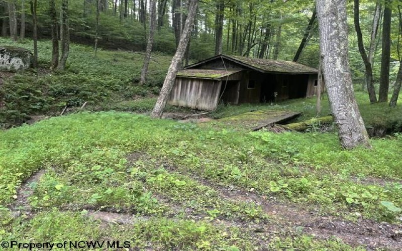 1099 Five Fork Hill Road, Newburg, West Virginia 26410-9713, 0 , 0 ,0,Lots/land,For Sale,Five Fork Hill,0,10166084 1099 Five Fork Hill Road, Newburg, West Virginia 26410-9713, 0 , 0 ,0,Lots/land,For Sale,Five Fork Hill,0,10166084