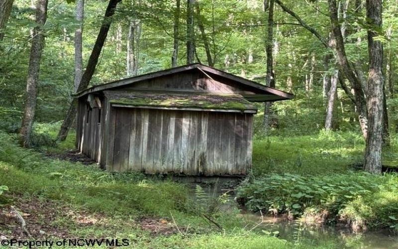 1099 Five Fork Hill Road, Newburg, West Virginia 26410-9713, 0 , 0 ,0,Lots/land,For Sale,Five Fork Hill,0,10166084 1099 Five Fork Hill Road, Newburg, West Virginia 26410-9713, 0 , 0 ,0,Lots/land,For Sale,Five Fork Hill,0,10166084