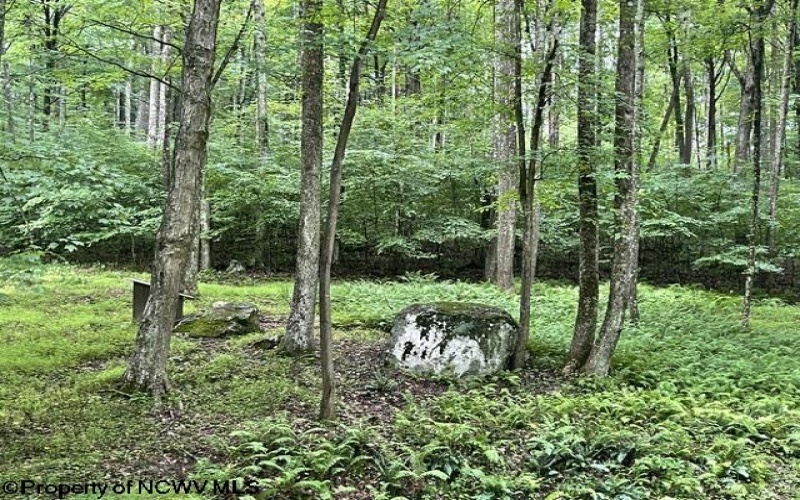 1099 Five Fork Hill Road, Newburg, West Virginia 26410-9713, 0 , 0 ,0,Lots/land,For Sale,Five Fork Hill,0,10166084 1099 Five Fork Hill Road, Newburg, West Virginia 26410-9713, 0 , 0 ,0,Lots/land,For Sale,Five Fork Hill,0,10166084