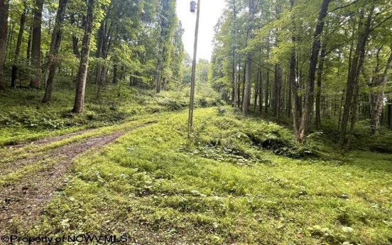 1099 Five Fork Hill Road, Newburg, West Virginia 26410-9713, 0 , 0 ,0,Lots/land,For Sale,Five Fork Hill,0,10166084 1099 Five Fork Hill Road, Newburg, West Virginia 26410-9713, 0 , 0 ,0,Lots/land,For Sale,Five Fork Hill,0,10166084