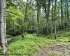 1099 Five Fork Hill Road, Newburg, West Virginia 26410-9713, 0 , 0 ,0,Lots/land,For Sale,Five Fork Hill,0,10166084 1099 Five Fork Hill Road, Newburg, West Virginia 26410-9713, 0 , 0 ,0,Lots/land,For Sale,Five Fork Hill,0,10166084