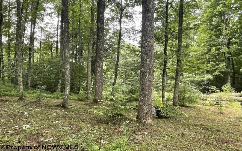 1099 Five Fork Hill Road, Newburg, West Virginia 26410-9713, 0 , 0 ,0,Lots/land,For Sale,Five Fork Hill,0,10166084 1099 Five Fork Hill Road, Newburg, West Virginia 26410-9713, 0 , 0 ,0,Lots/land,For Sale,Five Fork Hill,0,10166084