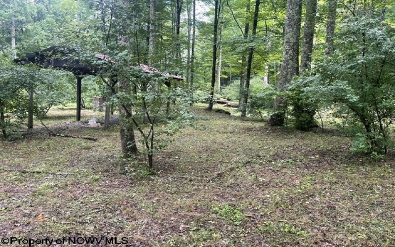 1099 Five Fork Hill Road, Newburg, West Virginia 26410-9713, 0 , 0 ,0,Lots/land,For Sale,Five Fork Hill,0,10166084 1099 Five Fork Hill Road, Newburg, West Virginia 26410-9713, 0 , 0 ,0,Lots/land,For Sale,Five Fork Hill,0,10166084