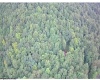 1099 Five Fork Hill Road, Newburg, West Virginia 26410-9713, 0 , 0 ,0,Lots/land,For Sale,Five Fork Hill,0,10166084 1099 Five Fork Hill Road, Newburg, West Virginia 26410-9713, 0 , 0 ,0,Lots/land,For Sale,Five Fork Hill,0,10166084