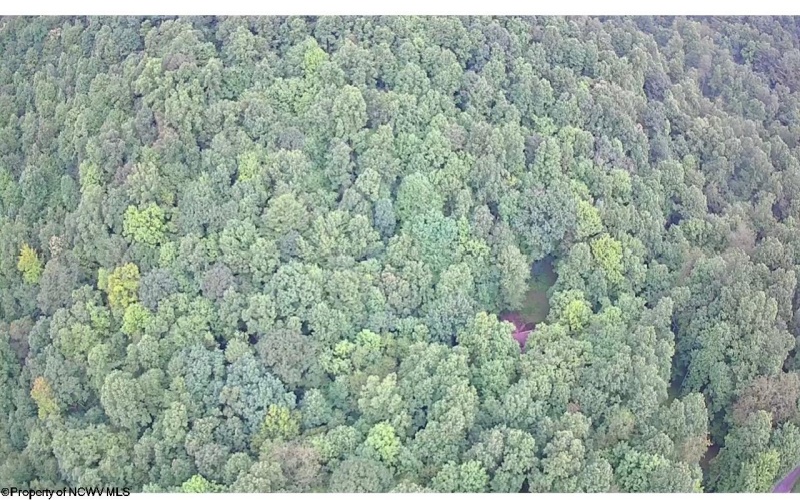 1099 Five Fork Hill Road, Newburg, West Virginia 26410-9713, 0 , 0 ,0,Lots/land,For Sale,Five Fork Hill,0,10166084 1099 Five Fork Hill Road, Newburg, West Virginia 26410-9713, 0 , 0 ,0,Lots/land,For Sale,Five Fork Hill,0,10166084