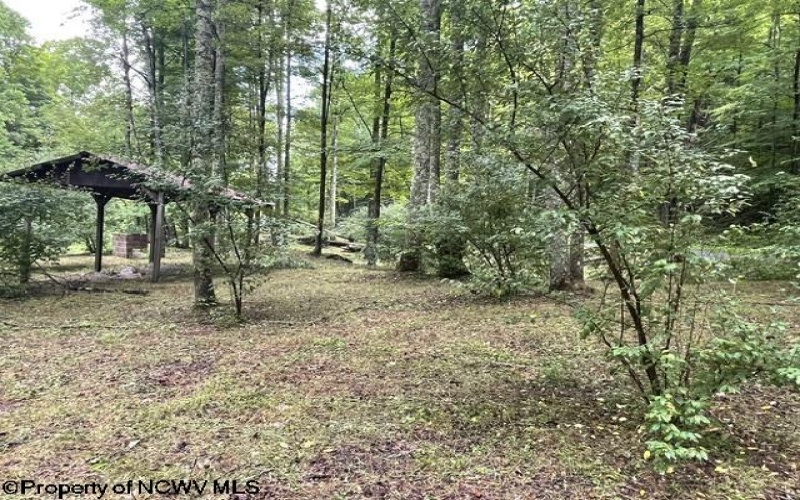 1099 Five Fork Hill Road, Newburg, West Virginia 26410-9713, 0 , 0 ,0,Lots/land,For Sale,Five Fork Hill,0,10166084 1099 Five Fork Hill Road, Newburg, West Virginia 26410-9713, 0 , 0 ,0,Lots/land,For Sale,Five Fork Hill,0,10166084