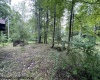 1099 Five Fork Hill Road, Newburg, West Virginia 26410-9713, 0 , 0 ,0,Lots/land,For Sale,Five Fork Hill,0,10166084 1099 Five Fork Hill Road, Newburg, West Virginia 26410-9713, 0 , 0 ,0,Lots/land,For Sale,Five Fork Hill,0,10166084