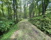 1099 Five Fork Hill Road, Newburg, West Virginia 26410-9713, 0 , 0 ,0,Lots/land,For Sale,Five Fork Hill,0,10166084 1099 Five Fork Hill Road, Newburg, West Virginia 26410-9713, 0 , 0 ,0,Lots/land,For Sale,Five Fork Hill,0,10166084