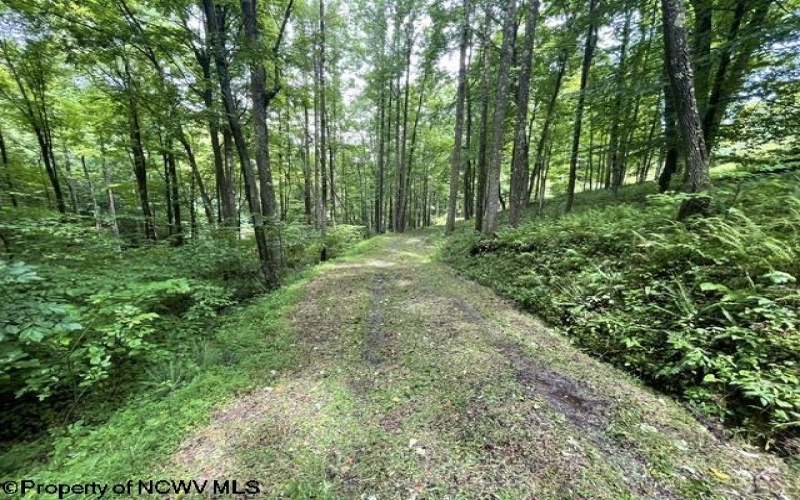 1099 Five Fork Hill Road, Newburg, West Virginia 26410-9713, 0 , 0 ,0,Lots/land,For Sale,Five Fork Hill,0,10166084 1099 Five Fork Hill Road, Newburg, West Virginia 26410-9713, 0 , 0 ,0,Lots/land,For Sale,Five Fork Hill,0,10166084