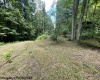 1099 Five Fork Hill Road, Newburg, West Virginia 26410-9713, 0 , 0 ,0,Lots/land,For Sale,Five Fork Hill,0,10166084 1099 Five Fork Hill Road, Newburg, West Virginia 26410-9713, 0 , 0 ,0,Lots/land,For Sale,Five Fork Hill,0,10166084