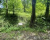 1099 Five Fork Hill Road, Newburg, West Virginia 26410-9713, 0 , 0 ,0,Lots/land,For Sale,Five Fork Hill,0,10166084 1099 Five Fork Hill Road, Newburg, West Virginia 26410-9713, 0 , 0 ,0,Lots/land,For Sale,Five Fork Hill,0,10166084