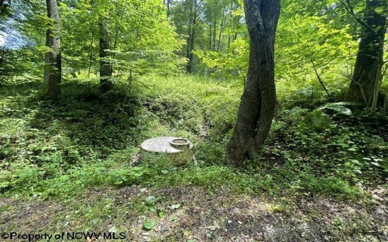1099 Five Fork Hill Road, Newburg, West Virginia 26410-9713, 0 , 0 ,0,Lots/land,For Sale,Five Fork Hill,0,10166084 1099 Five Fork Hill Road, Newburg, West Virginia 26410-9713, 0 , 0 ,0,Lots/land,For Sale,Five Fork Hill,0,10166084
