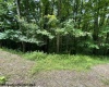1099 Five Fork Hill Road, Newburg, West Virginia 26410-9713, 0 , 0 ,0,Lots/land,For Sale,Five Fork Hill,0,10166084 1099 Five Fork Hill Road, Newburg, West Virginia 26410-9713, 0 , 0 ,0,Lots/land,For Sale,Five Fork Hill,0,10166084
