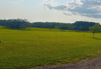 Lot 3 Katy Lane, Davis, West Virginia 26260, 0 , 0 ,0,Lots/land,For Sale,Katy,0,10166101