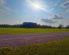 Lot 5 Katy Lane, Davis, West Virginia 26260, 0 , 0 ,0,Lots/land,For Sale,Katy,0,10166103 Lot 5 Katy Lane, Davis, West Virginia 26260, 0 , 0 ,0,Lots/land,For Sale,Katy,0,10166103