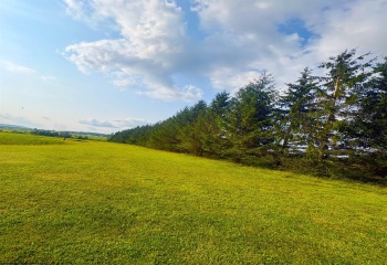 Lot 14 Katy Lane, Davis, West Virginia 26260, 0 , 0 ,0,Lots/land,For Sale,Katy,0,10166104