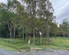 Boeing Lane, Davis, West Virginia 26260, 0 , 0 ,0,Lots/land,For Sale,Boeing,0,10166105