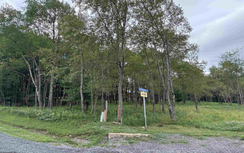 Boeing Lane, Davis, West Virginia 26260, 0 , 0 ,0,Lots/land,For Sale,Boeing,0,10166105