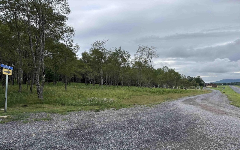 Boeing Lane, Davis, West Virginia 26260, 0 , 0 ,0,Lots/land,For Sale,Boeing,0,10166105