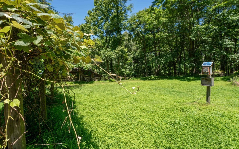 600 Mayfield Road, Morgantown, West Virginia 26508, 0 , 0 ,0,Lots/land,For Sale,Mayfield,0,10166121 600 Mayfield Road, Morgantown, West Virginia 26508, 0 , 0 ,0,Lots/land,For Sale,Mayfield,0,10166121