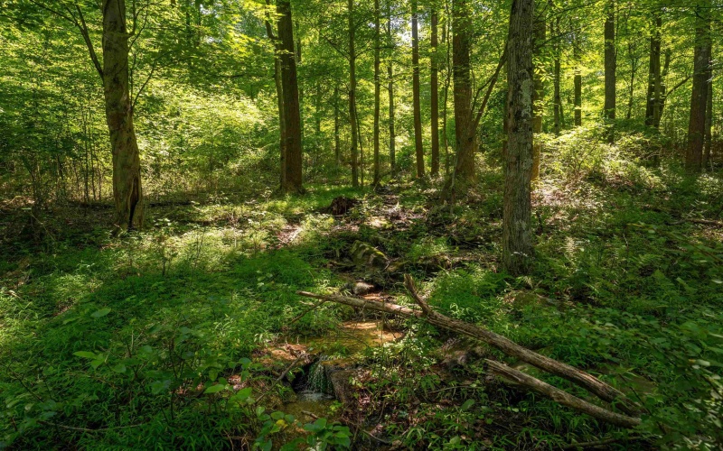 600 Mayfield Road, Morgantown, West Virginia 26508, 0 , 0 ,0,Lots/land,For Sale,Mayfield,0,10166121 600 Mayfield Road, Morgantown, West Virginia 26508, 0 , 0 ,0,Lots/land,For Sale,Mayfield,0,10166121
