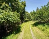 600 Mayfield Road, Morgantown, West Virginia 26508, 0 , 0 ,0,Lots/land,For Sale,Mayfield,0,10166121 600 Mayfield Road, Morgantown, West Virginia 26508, 0 , 0 ,0,Lots/land,For Sale,Mayfield,0,10166121