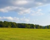 Lot 29 Katy Lane, Davis, West Virginia 26260, 0 , 0 ,0,Lots/land,For Sale,Katy,0,10166119