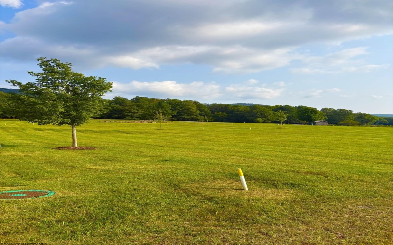 Lot 26 Katy Lane, Davis, West Virginia 26260, 0 , 0 ,0,Lots/land,For Sale,Katy,0,10166116