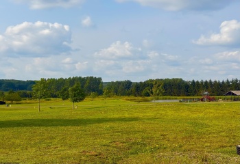 Lot 15 Katy Lane, Davis, West Virginia 26260, 0 , 0 ,0,Lots/land,For Sale,Katy,0,10166107