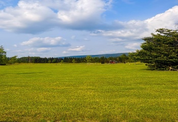 Lot 16 Katy Lane, Davis, West Virginia 26260, 0 , 0 ,0,Lots/land,For Sale,Katy,0,10166108