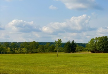 Lot 17 Katy Lane, Davis, West Virginia 26260, 0 , 0 ,0,Lots/land,For Sale,Katy,0,10166109