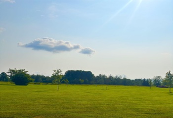 Lot 20 Katy Lane, Davis, West Virginia 26260, 0 , 0 ,0,Lots/land,For Sale,Katy,0,10166110